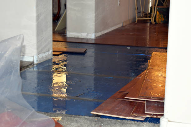 Professional Water Damage Restoration technician working in Waller, TX